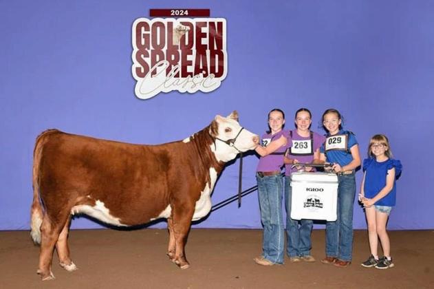 SLOANE BEERWINKLE - Champion Horned Hereford Heifer