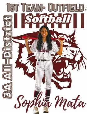 Littlefield Wildcat baseball camp to begin May 27-29