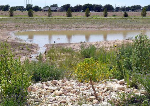 The new walking path located behind the Littlefield Aquatic Center sports a small pond thanks to the recent rainfall. (Photo by Ann Reagan)