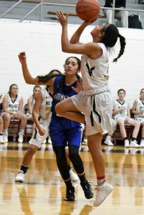 EDETTE HERRERA -Sudan Nettes JV