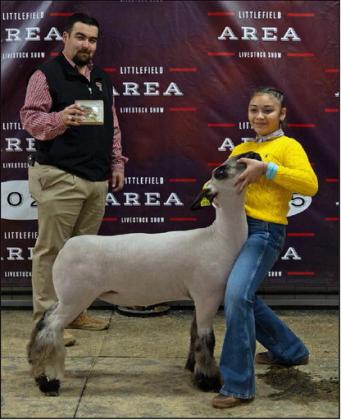 Ruby Macias of Amherst FFA won Junior Showmanship Sheep at the Littlefield Area Junior Livestock Show on Jan. 10, 2025 at the Lamb County Ag Center. Shown with Judge Cam Anderson. (Staff Photo by Rhode Duenas)