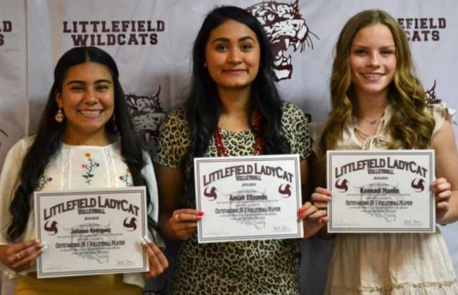 Lfd. Sports Banquet JV Awards