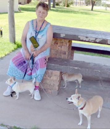 Second Rabies Clinic held in Anton