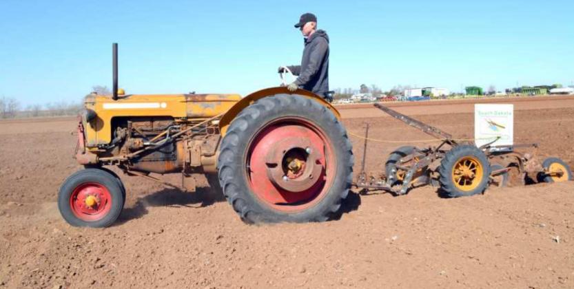 Antique Tractors at Plow Day