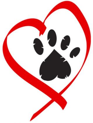 Looking for ‘Fur’-Ever homes