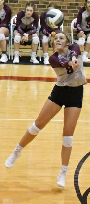 Lady Cat volleyball