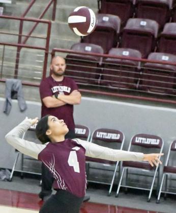 ABIGAIL YBARBO - Littlefield Lady Cats
