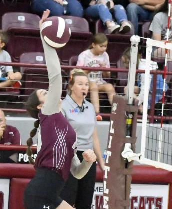 JULIE BOWNDS - Littlefield Lady Cats