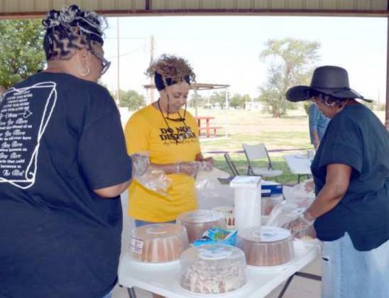 Juneteenth Celebration in the Park