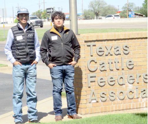 Eddie Ramirez and Gavin Ortiz, seniors at Olton High School participated in the Texas Cattle Feeders Association Job Fair in Amarillo. To be eligible to participate in the Job Fair the participants must have completed a certification program in Machinery Equipment Repair or Cattle Handling. This was a great learning experience, the participants provided their resume and were interviewed by six different Feed Yards from the Panhandle Area. (Submitted Photo)
