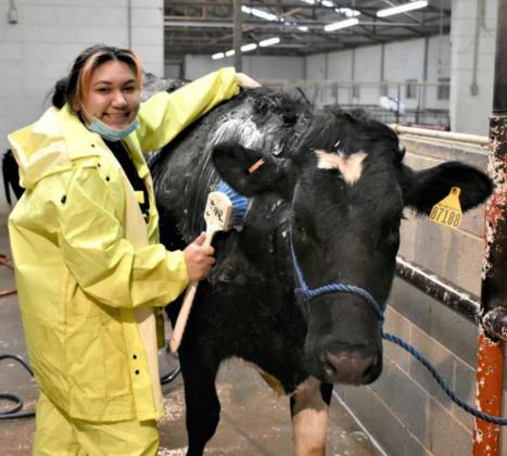 BRANDY HERNANDEZ WASHING “OLLIE”