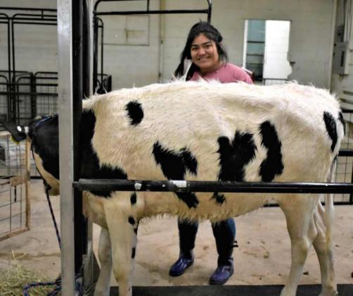 KATHERINA OJEDA GROOMING “DAISY”