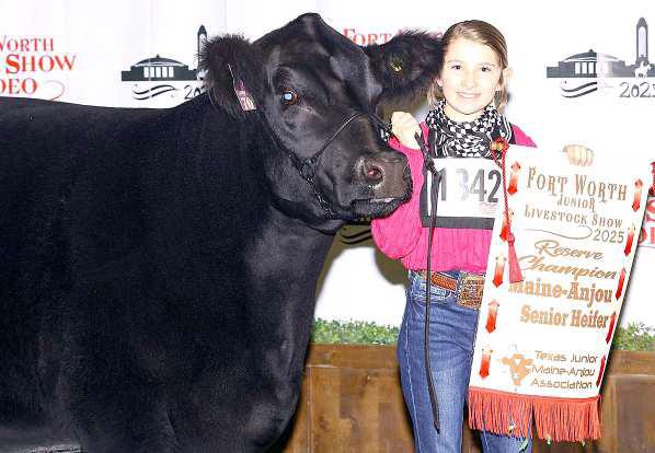 Brooklyn DeBerry, Olton 4-H, earned Reserve Senior Champion Heifer with KJDC Lilly 312 L in the Maine-Anjou heifer division.