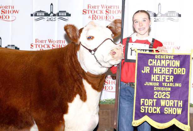 Sloane Beerwinkle, Earth FFA , earned Reserve Champion Junior Yearling Female with WW Showtime Laynee 314 in the Her eford heifer division.