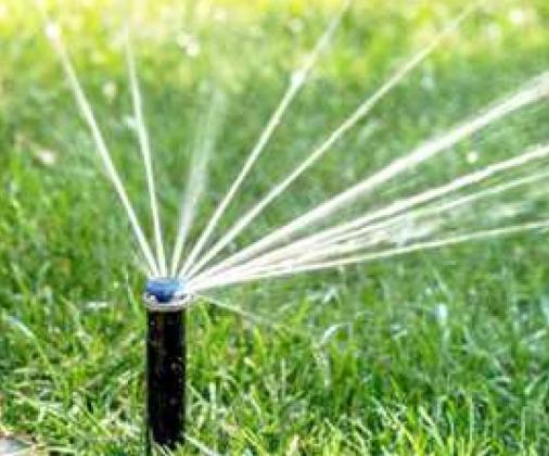 SPRINKLER HEAD shooting water on the green grass. Most people overwater their lawns. Watering lawns properly can prevent wasted water, promote healthy grass growth and prevent problems including disease. (Texas A&amp;amp;M AgriLife photo)