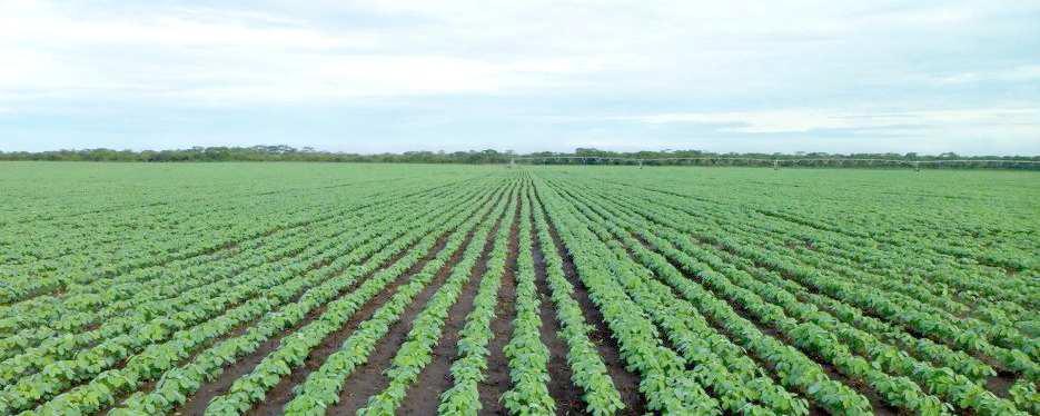 National Agriculture Day: Fifty Years Later, Farmers Are Growing a Climate for Tomorrow