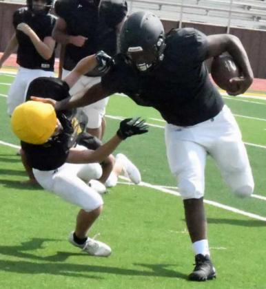 HORNETS FLYING AROUND THE FIELD DURING TWO-A-DAYS
