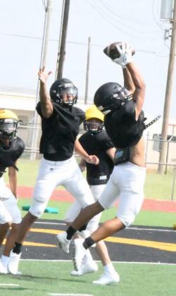 HORNETS FLYING AROUND THE FIELD DURING TWO-A-DAYS