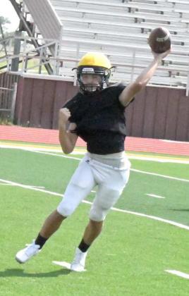 HORNETS FLYING AROUND THE FIELD DURING TWO-A-DAYS
