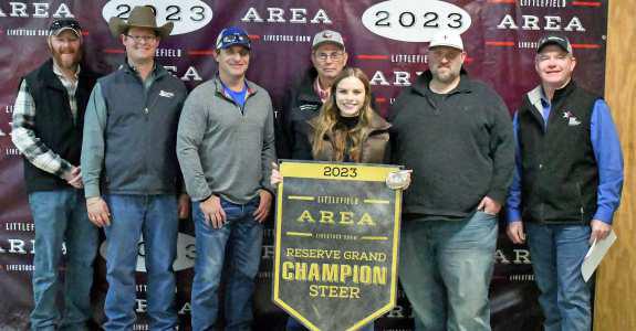 Area Livestock Show Grand and Reserve Grand Champs with buyers