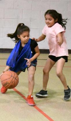 Lady Cat Basketball Camp