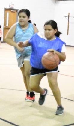 Lady Cat Basketball Camp
