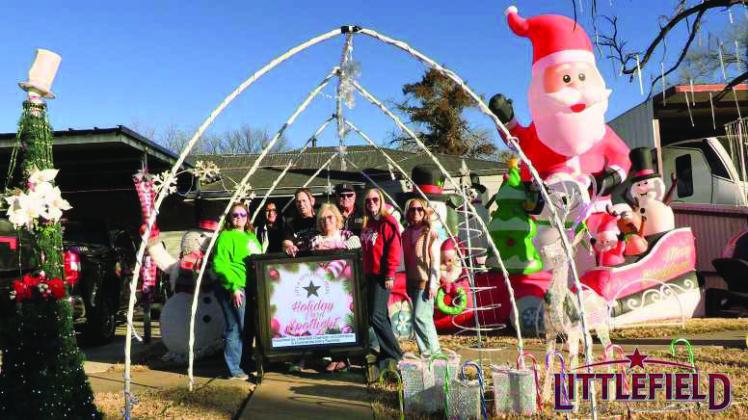 Holiday Yard Spotlight