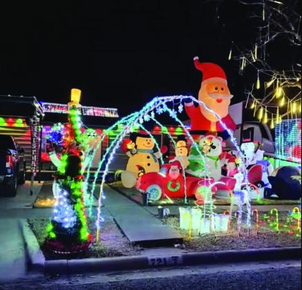 Holiday Yard Spotlight