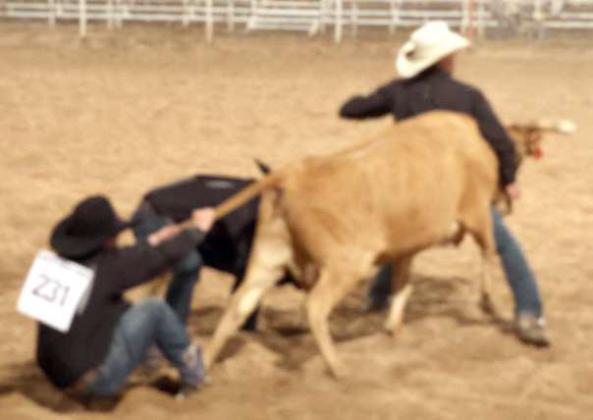 These Wild Cow Milking competitors make it look (almost) easy during the WRCA Rodeo held in Earth, (Photo by Ann Reagan)