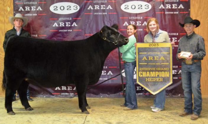 2023 LITTLEFIELDAREARESERVE GRAND CHAMPION HEIFER- PIPER CARR