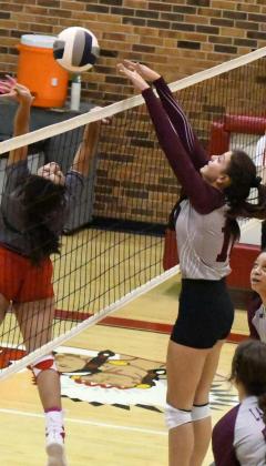 JULIE BOWNDS - Littlefield Lady Cats