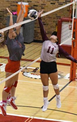 DANIELLE ZAPATA - Littlefield Lady Cats