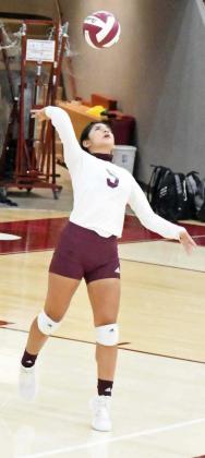 Lady Cats earn season sweep of Bobbies