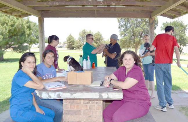 Busy Saturday: Juneteenth, Rabies Clinic, Museum Re-opening