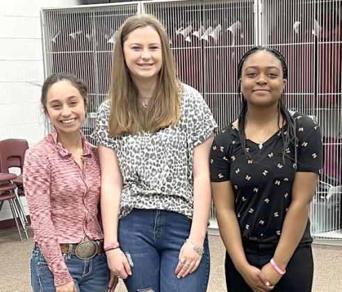 Wildcat Band members compete at 2023 UIL Solo and Ensemble Comp.