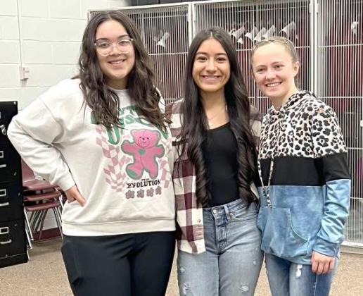 Wildcat Band members compete at 2023 UIL Solo and Ensemble Comp.