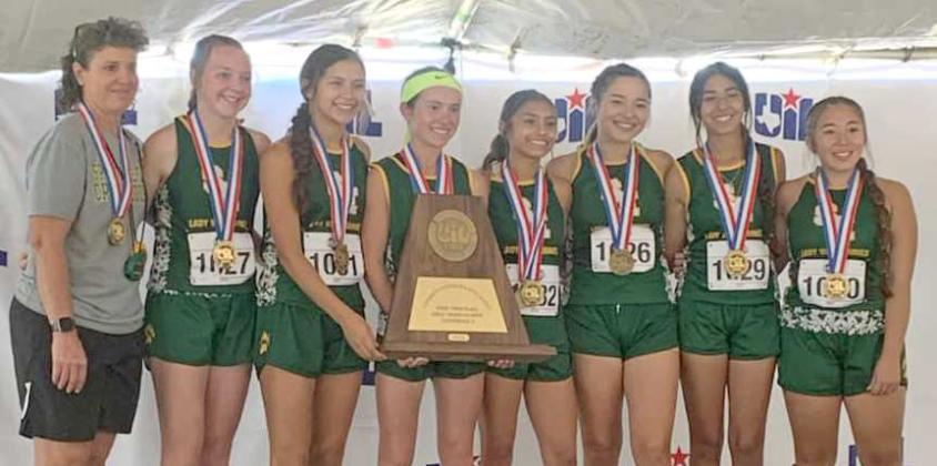 Lady Wolverine Cross Country team places third at State