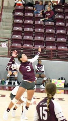 Academic All-State Volleyball team