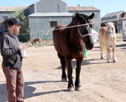 Mr. Leo Acton, spokesman and performer with the Culpepper &amp;amp; Merriweather Circus, greets one of the bareback horses as he explains their care during a tour of the circus site on Saturday, April 13, 2024. (Photo by Ann Reagan)