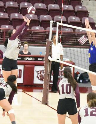 ASHTYN PARKER (15) - Littlefield Lady Cats
