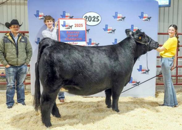 MACKENZIE DeBERRY - Reserve Supreme Champion Heifer