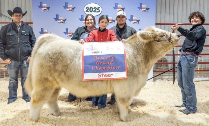 ZAYDEN FALCON - Reserve Grand Champion Steer