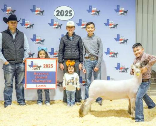 AZAIAH VEGA - Reserve Grand Champion Lamb