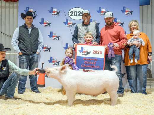 SLAYDE HARRISS - Reserve Grand Champion Barrow