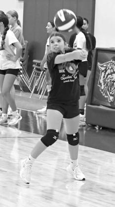 2026 Littlefield Volleyball Camp