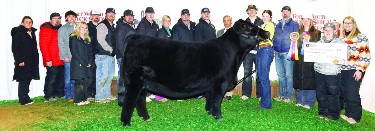 Olton High School sophomore, MaKenzie DeBerry, brought home Champion Simmental Heifer at the 2026 Fort Worth Stock Show and Rodeo in January. (Submitted Photo)