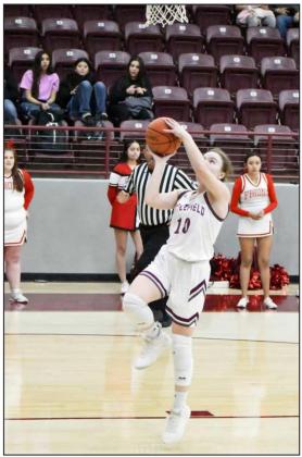 BROOKELYN GAU - Littlefield Lady Cats