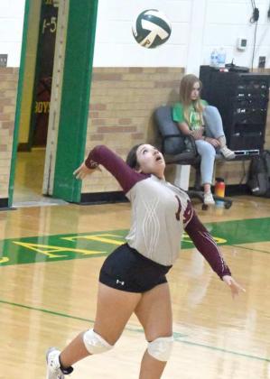 ALEX HERNANDEZ - Littlefield Lady Cats