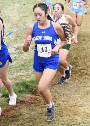 Amherst senior, Dennys Reyes, competed at the 1A Regional cross country meet on Monday, where she finished 106th overall with a time of 16:08.8. (Staff Photo by Derek Lopez)