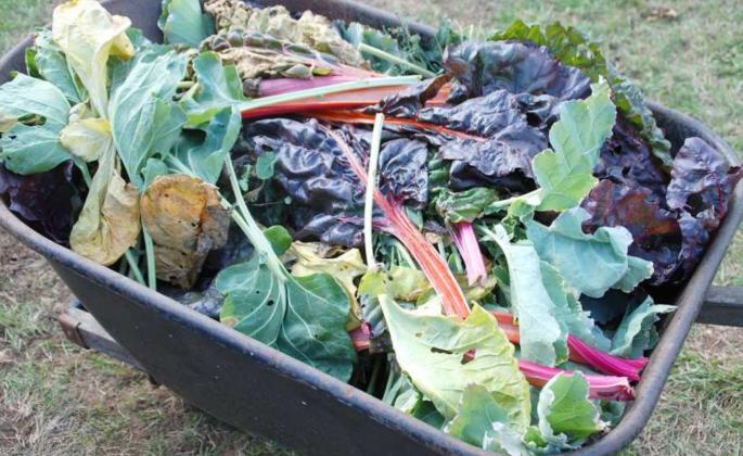 COMPOSTING can be as simple as collecting disease- and insect-free plant debris, placing it in a pile and letting it rot. (Photo credit: Melinda Myers, LLC)